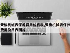 天梭机械表保养费用价目表,天梭机械表保养费用价目表图片