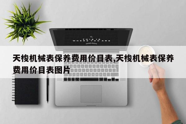 天梭机械表保养费用价目表,天梭机械表保养费用价目表图片